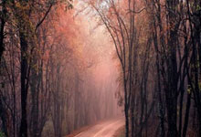 朱鹏宇:第一个主场就有这么多球迷来支持我们,非常感谢他们.