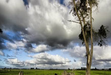 曾是中国女网一姐，32岁王蔷宣布结婚了九派新闻.