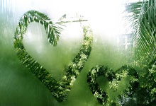 [CBA]上海主场大胜广东 终结对手九连胜.